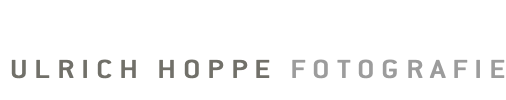 Ulrich Hoppe